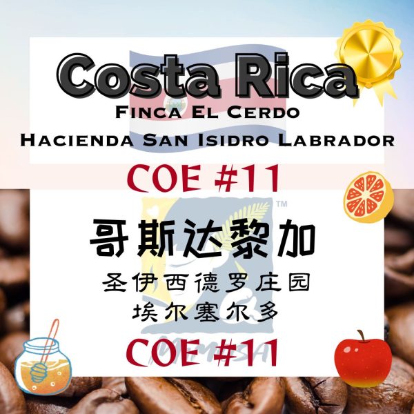 19. MIMOSA Filter Brew Coffee: COSTA RICA FINCA EL CERDO COE #11 | Honey Process