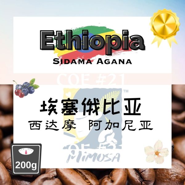 MIMOSA Filter Brew Coffee: ETHIOPIA COE #21 SIDAMO AGANA | 74158 Natural