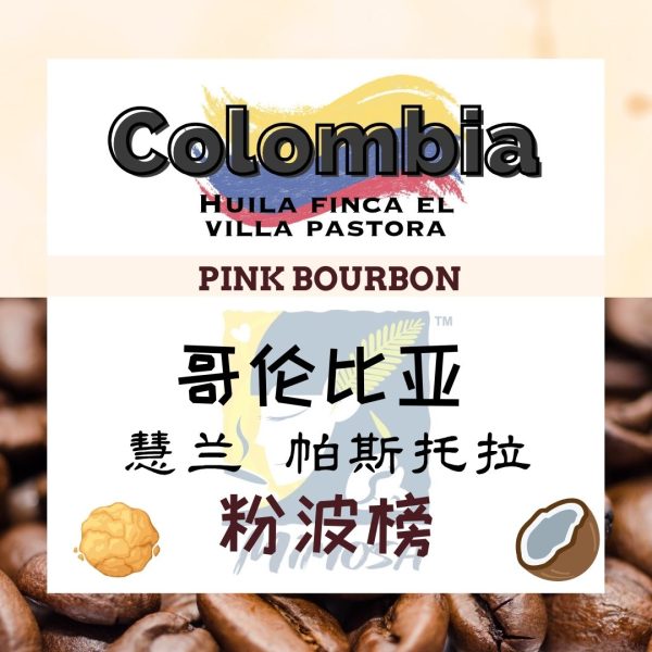 MIMOSA Single Origin Filter Brew Coffee Bean | COLOMBIA HUILA FINCA EL VILLA PASTORA | 哥伦比亚  🇨🇴 帕斯托拉