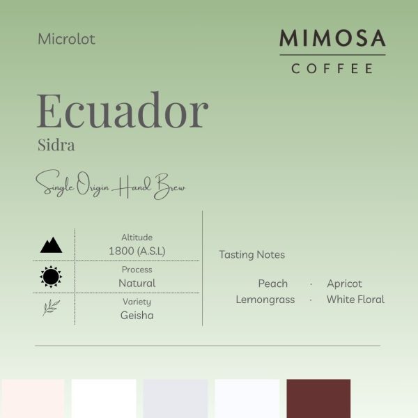 【Mimosa】Ecuador Geisha | Roasted Single Origin Filter Coffee Bean | Kopi Panggang Turas 厄瓜多尔 单品手冲咖啡豆