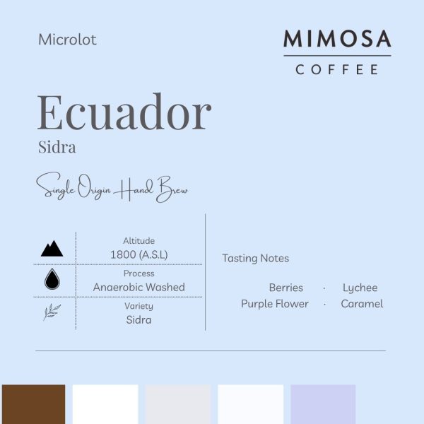 【Mimosa】Ecuador Sidra Anaerobic Washed | Roasted Single Origin Filter Coffee Bean | Kopi Panggang Turas 厄瓜多尔 单品手冲咖啡豆