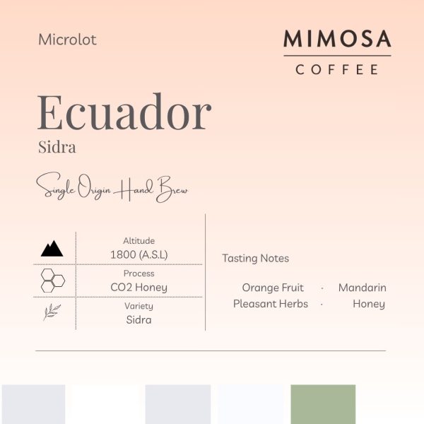 【Mimosa】Ecuador Sidra CO2 Honey | Roasted Single Origin Filter Coffee Bean | Kopi Panggang Turas 厄瓜多尔 单品手冲咖啡豆