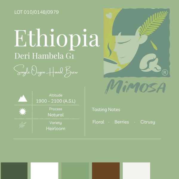 MIMOSA Single Origin Hand Brew Coffee Bean | Ethiopia Hambela Deri G1 | 埃塞尔比亚 古吉 G1 日晒