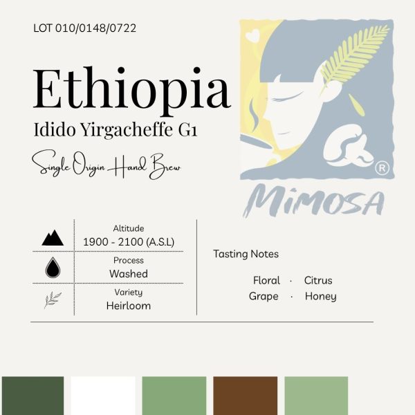 MIMOSA Single Origin Hand Brew Coffee Bean | Ethiopia Yirgacheffe Idido | 埃塞尔比亚 耶加雪菲 水洗