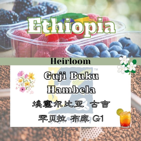 40.MIMOSA Single Origin Hand Brew Coffee Bean | ETHIOPIA 🇪🇹 GUJI BUKU HAMBELA NATURAL | 埃塞俄比亚 古吉 G1日晒